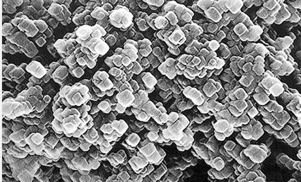 オンリーワンを生み出すシーズ…基礎研究