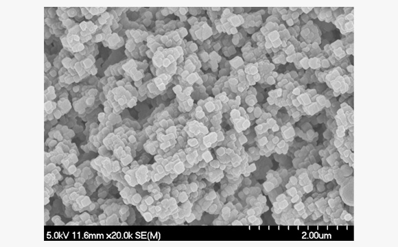 Electron Microscope Photograph of Electrode Foil Surface