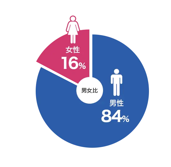 男女比 (男性84%、女性16%)