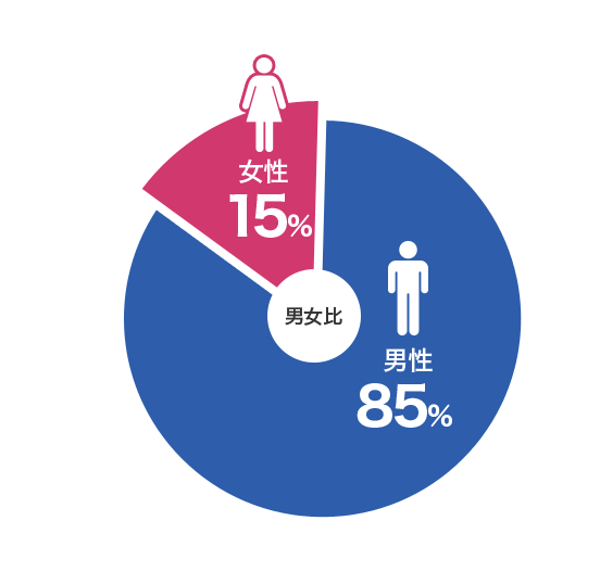 男女比 (男性85%、女性15%)