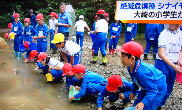 地域とのふれあい