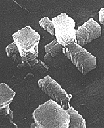 アルミニウム電極箔の電子顕微鏡写真1