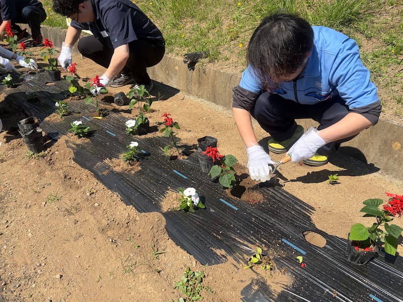 花を植えている様子