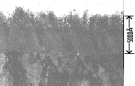 陽極酸化前に行なわれる純水煮沸処理後の皮膜 (Pseudo-boehmite film)